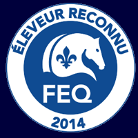 Éleveur reconnu de la Fédération équestre du Québec 2013